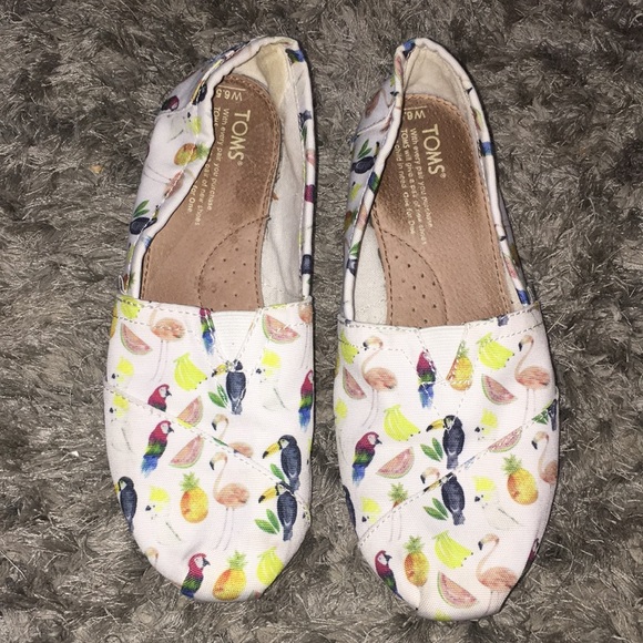Toms Shoes - Parrot toms